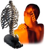 Body Balance Osteopaths 693947 Image 7
